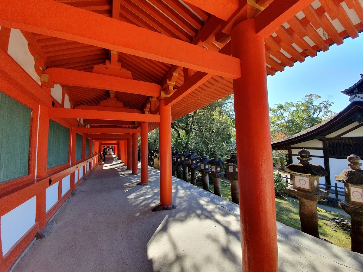 春日大社 實景照片 8