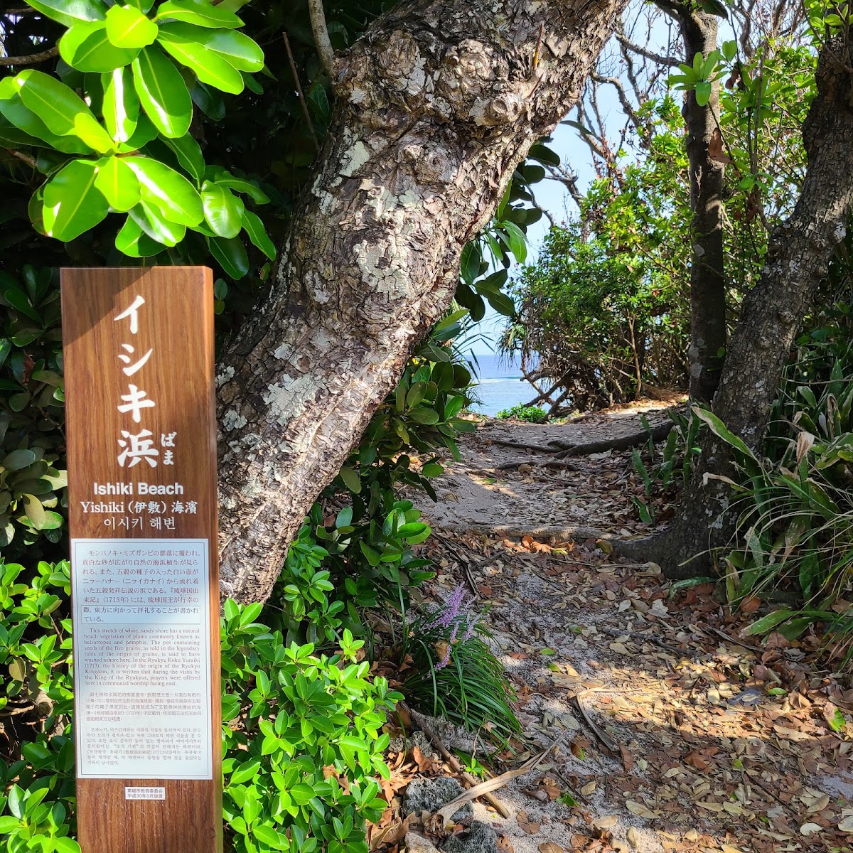久高島 實景照片 10