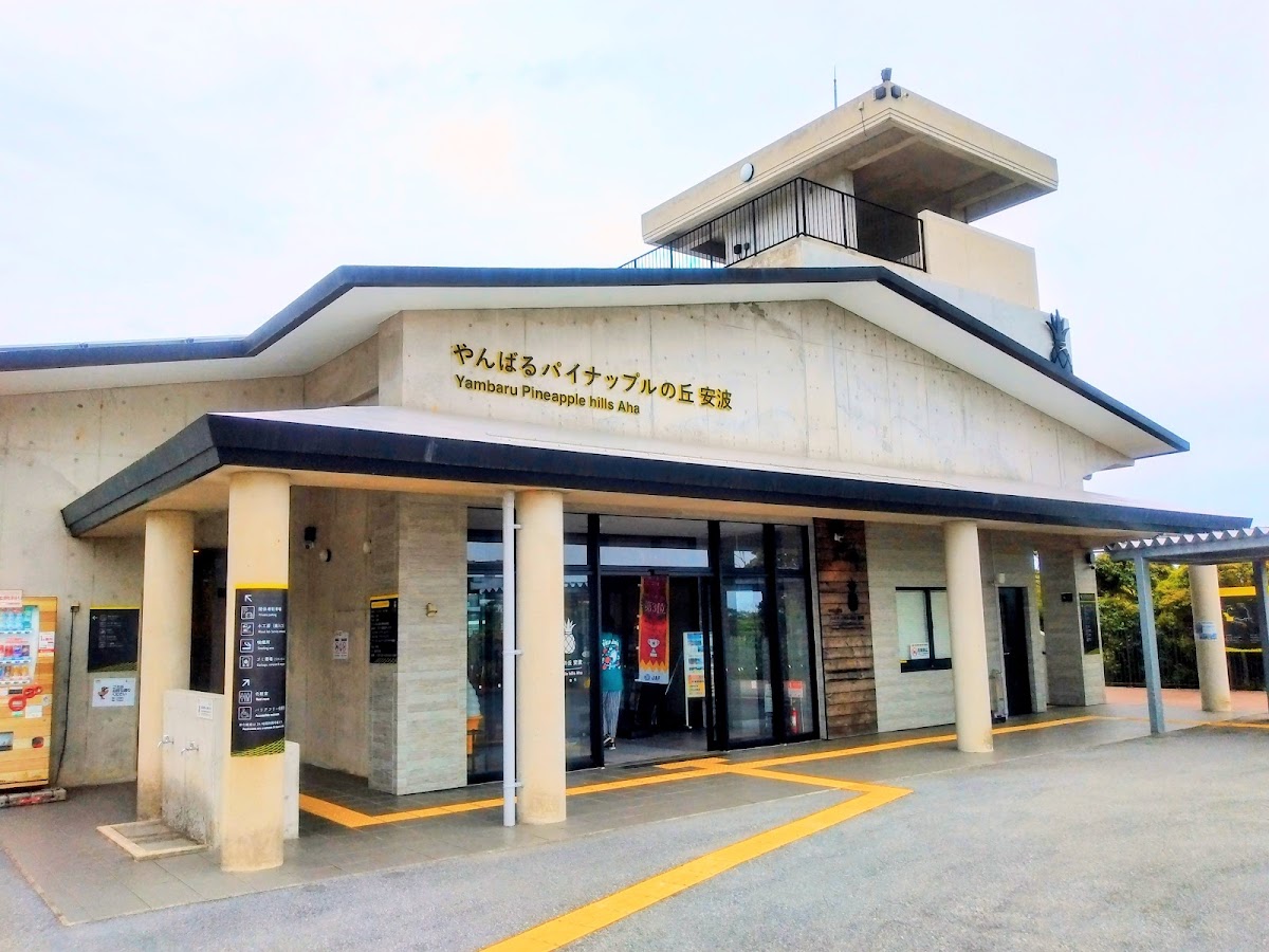 道之驛 山原鳳梨之丘 安波(道の駅 やんばるパイナップルの丘 安波) 實景照片 3