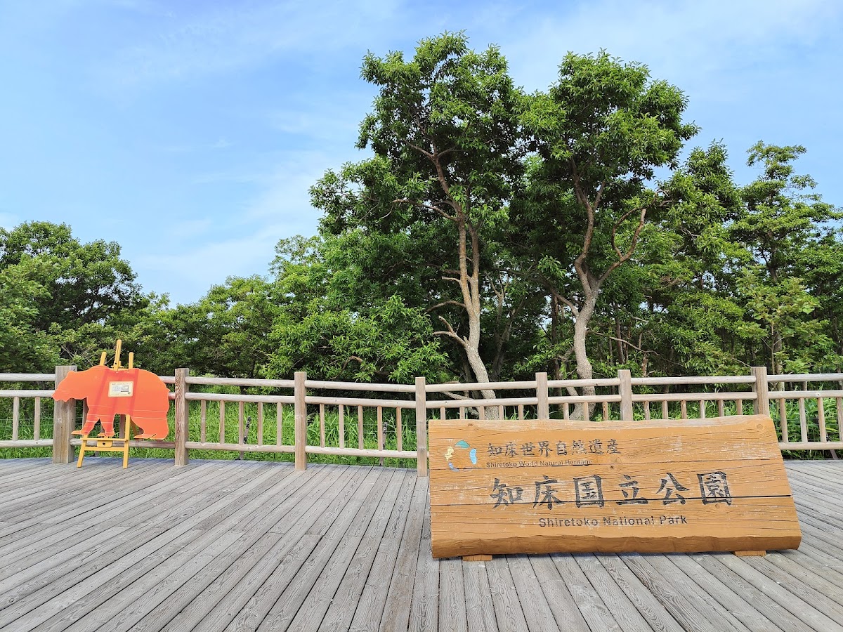 知床國家公園（知床国立公園） 實景照片 10