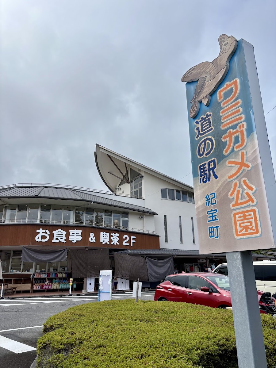 道之驛 紀寶町海龜公園（道の駅 紀宝町ウミガメ公園） 實景照片 2