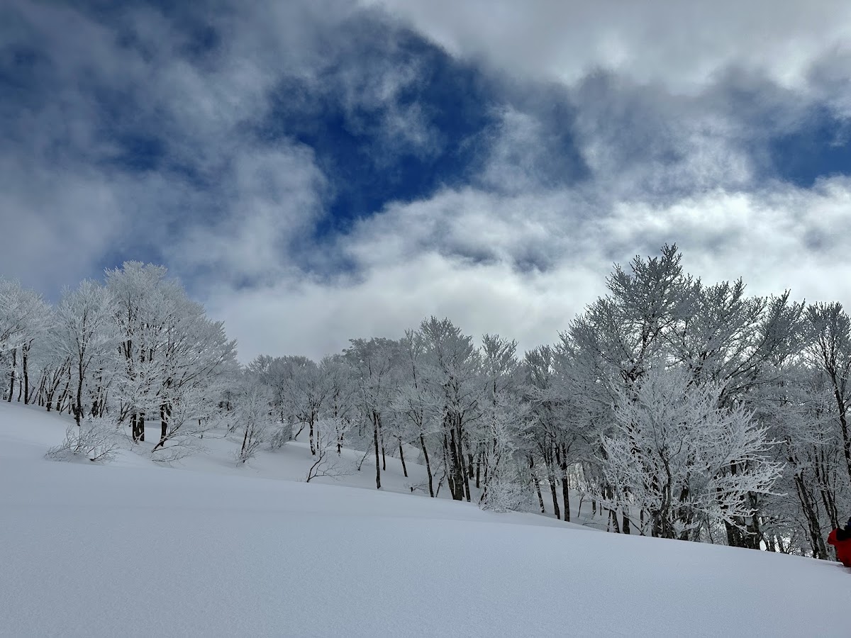 野澤溫泉滑雪場（野沢温泉スキー場） 實景照片 7