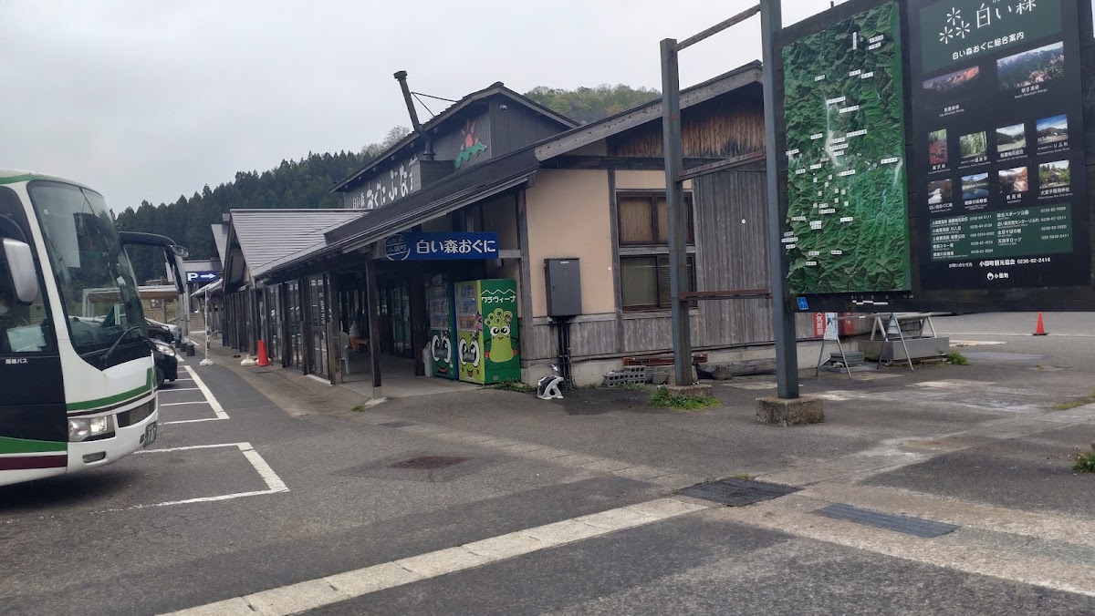 道之驛 白森小國（道の駅 白い森おぐに） 實景照片 9