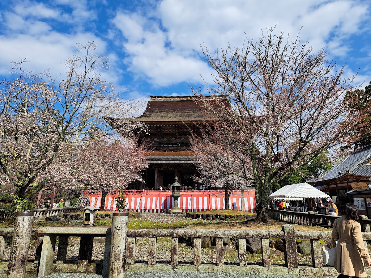 吉野熊野國家公園(吉野熊野国立公園) 實景照片 10