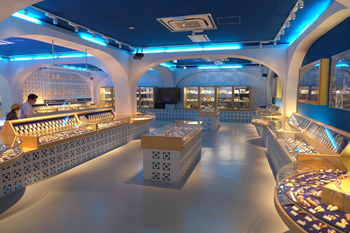 室內貝殼標本展示館