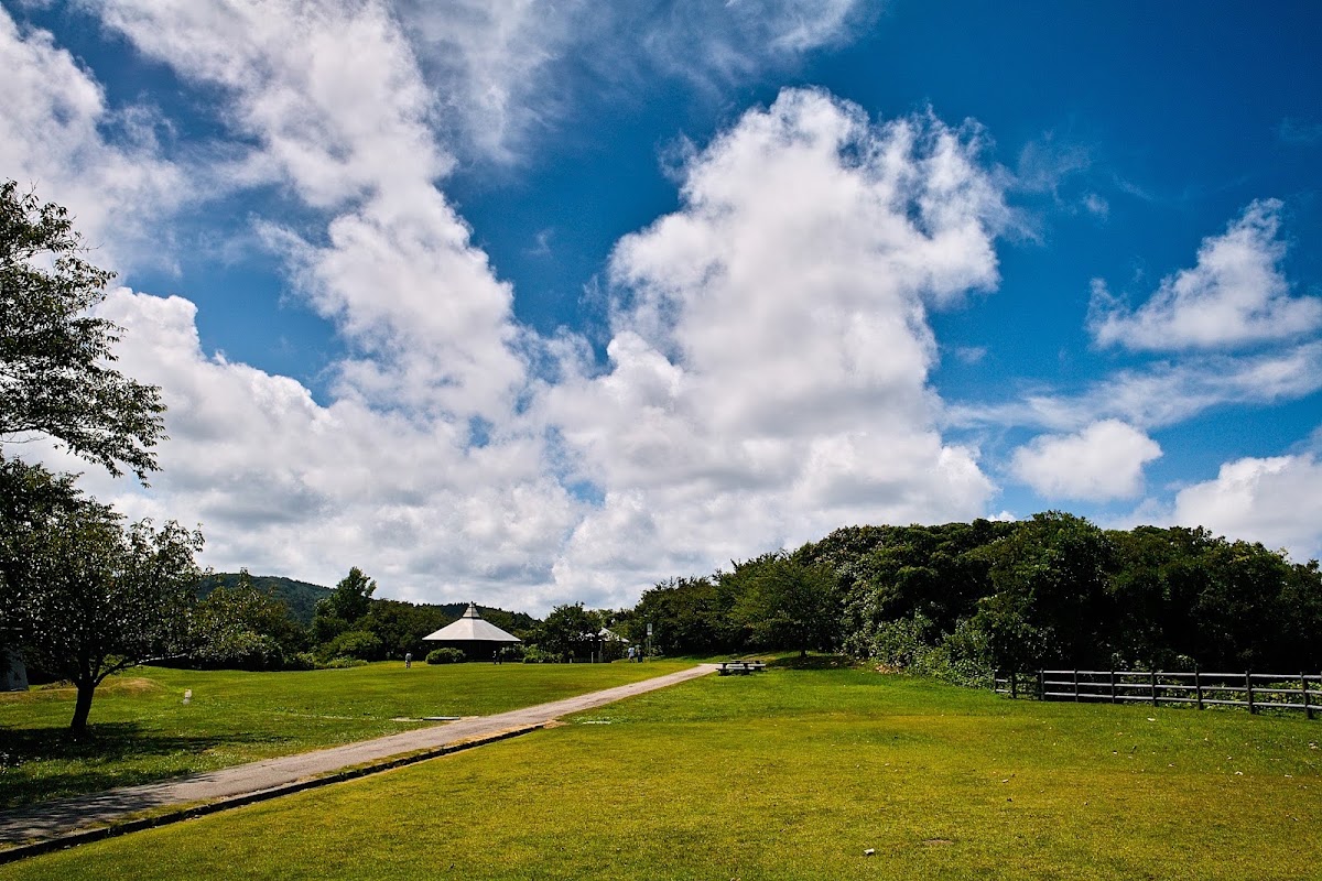 藍天白雲下的綠草地與步道