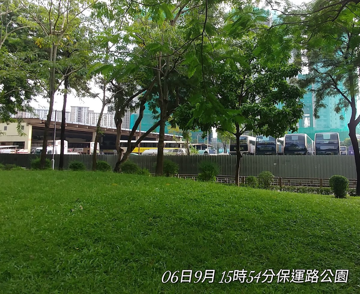 上水寶石湖路露天停車場 實景照片 3