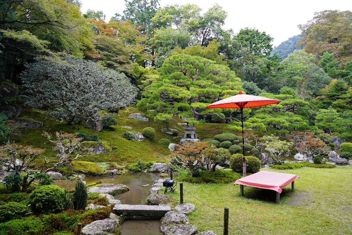 舊竹林院（旧竹林院） 實景照片 6