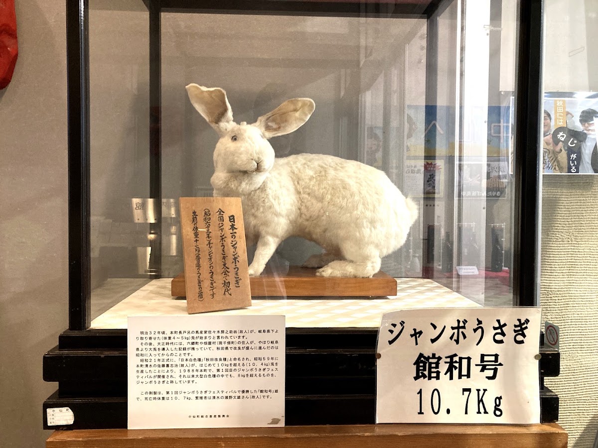 道之驛 中仙(道の駅 なかせん) 實景照片 3