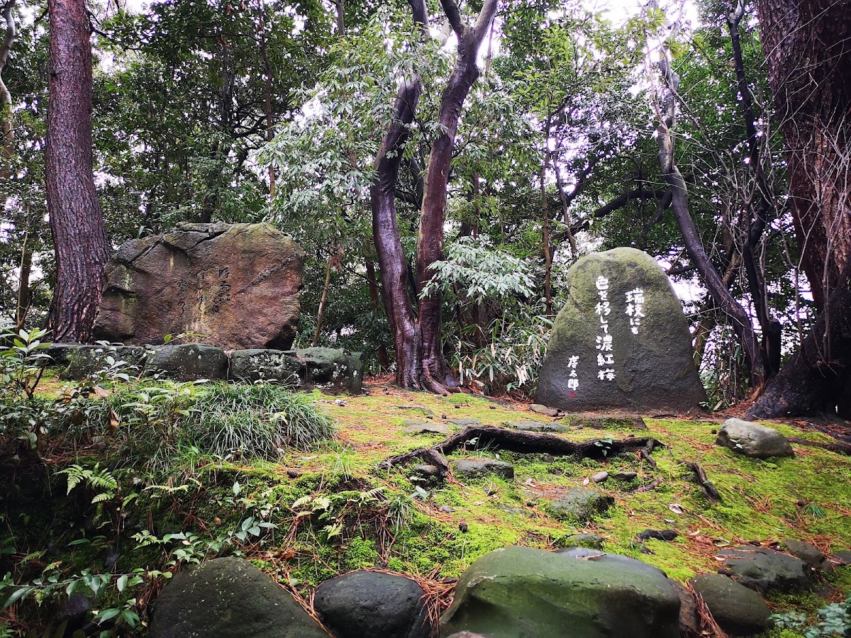 尾山神社 實景照片 9