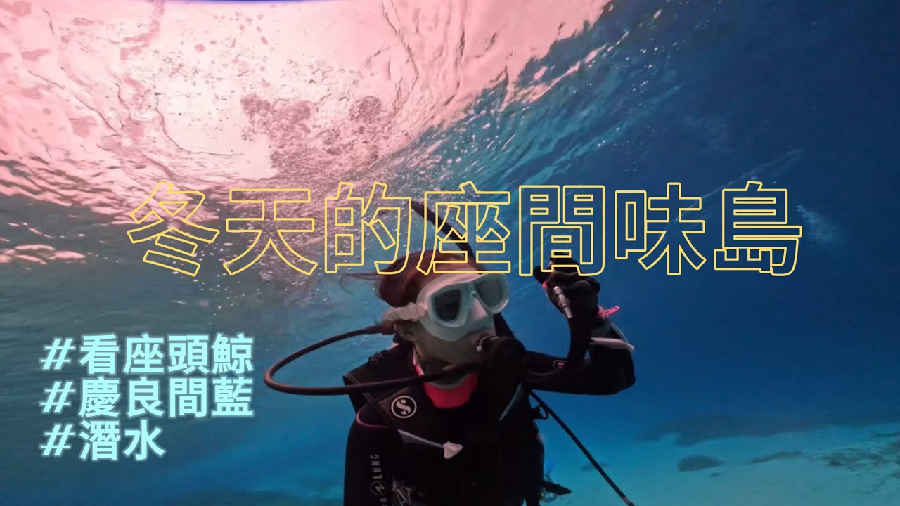 沖縄・座間味島VLOG|一個台灣人亂入日本當地旅行團、日本跳島攻略