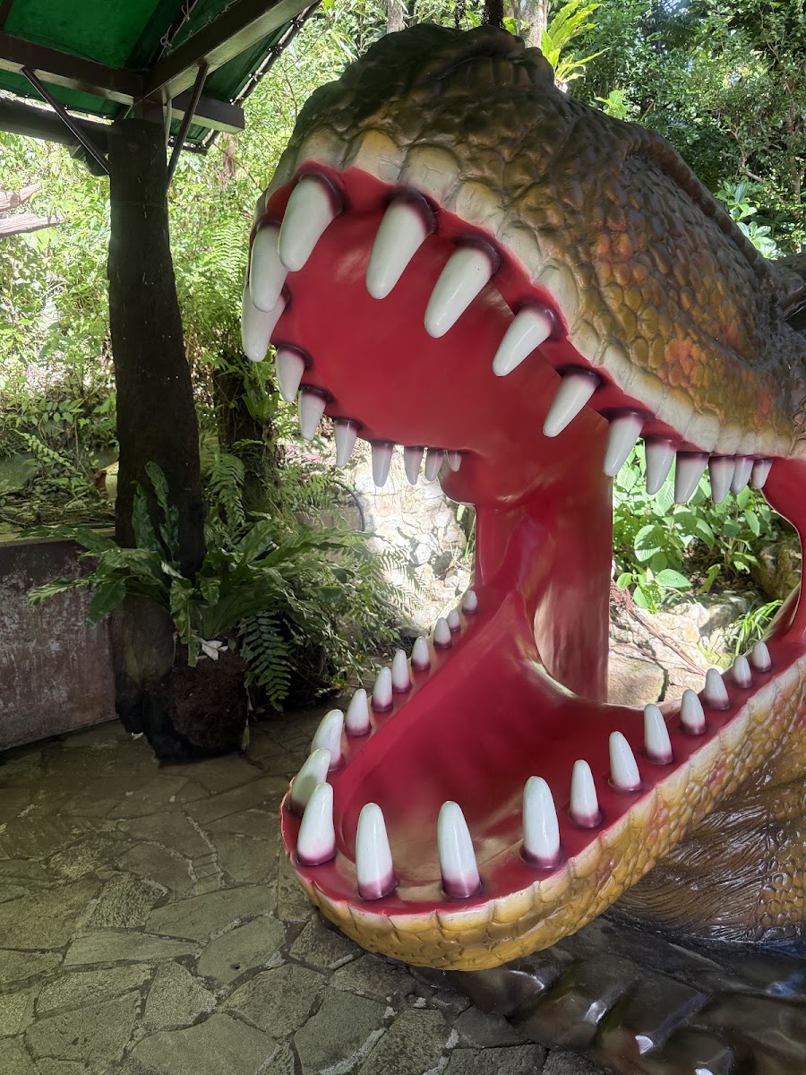 DINO恐龍PARK山原亞熱帶之森(DINO恐竜PARK やんばる亜熱帯の森) 實景照片 4