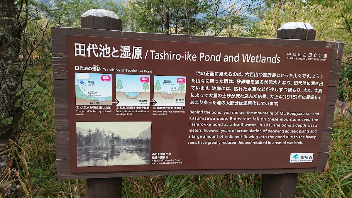 田代池 實景照片 8