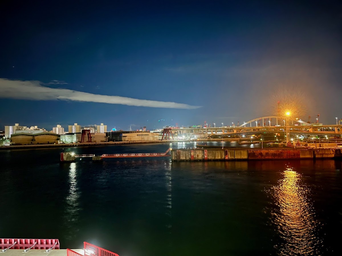 大阪南港客運碼頭（大阪南港フェリーターミナル） 實景照片 8