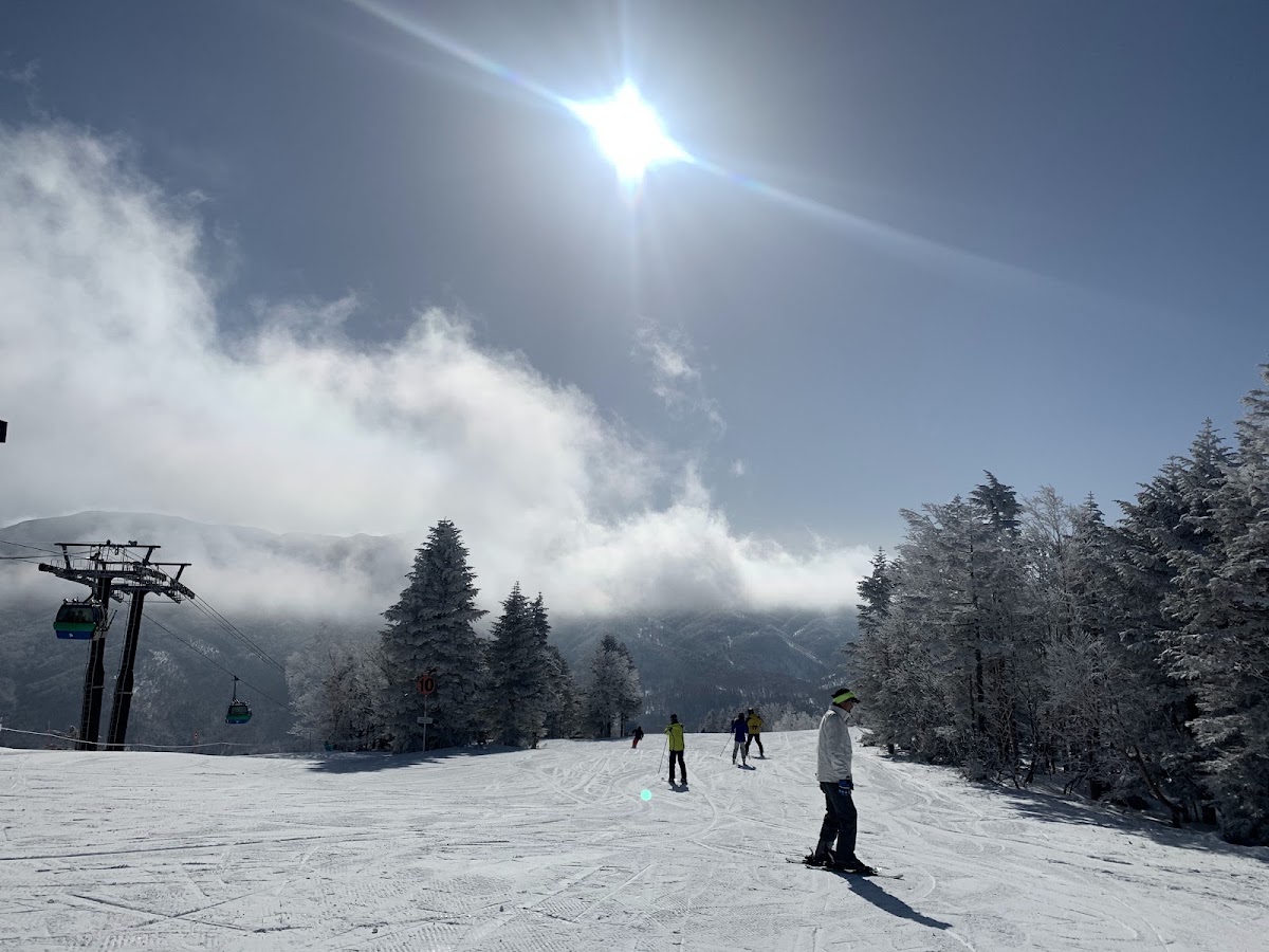 志賀高原燒額山滑雪場（志賀高原 焼額山スキー場） 實景照片 7