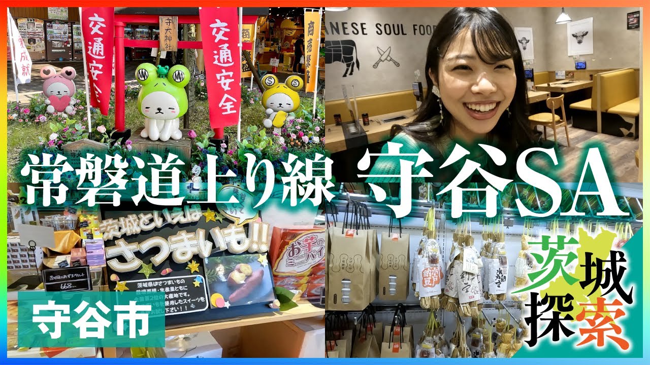 【茨城探索】常磐道上り線 守谷SA。茨城県の玄関口のサービスエリアです。充実した施設をご覧ください【茨城県守谷市】【vlog】
