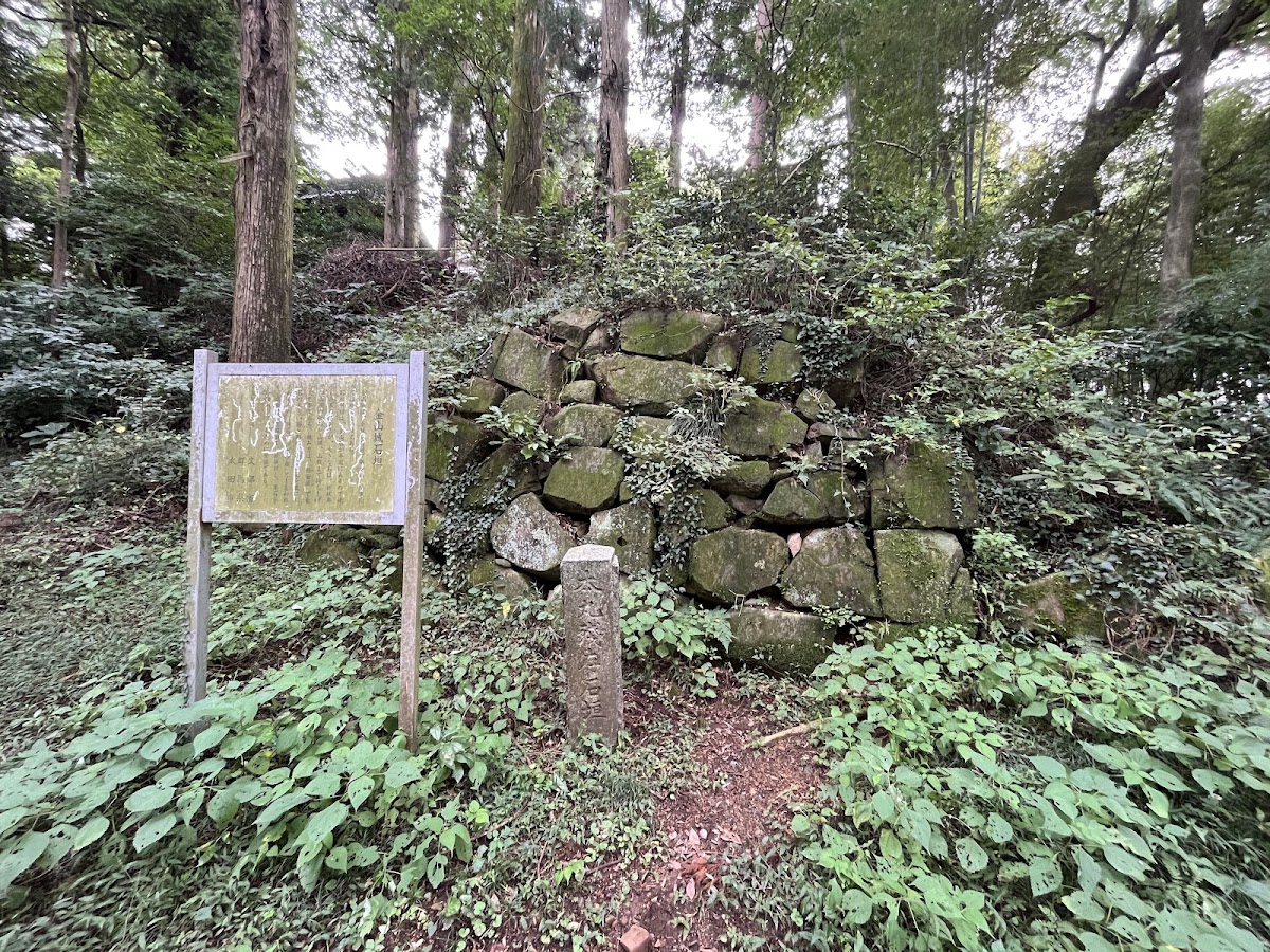 金山城 實景照片 10