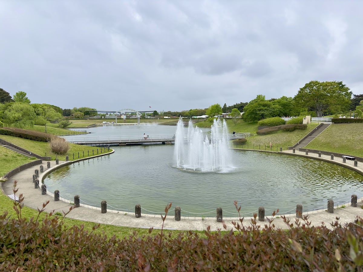國營常陸海濱公園(国営ひたち海浜公園) 實景照片 8