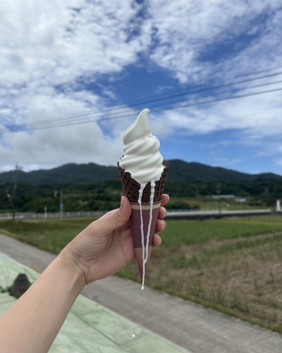 道之驛 德之島(道の駅 とくのしま) 實景照片 10