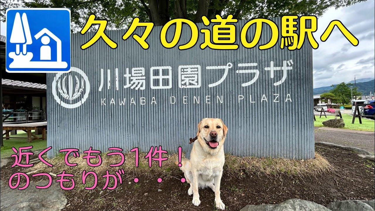 【道の駅シリーズ23】久しぶりの道の駅は道の駅ランキング1位にもなった群馬県の川場村にある川場田園プラザとその近くにある道の駅白沢!休憩で赤城高原サービスエリアも堪能!