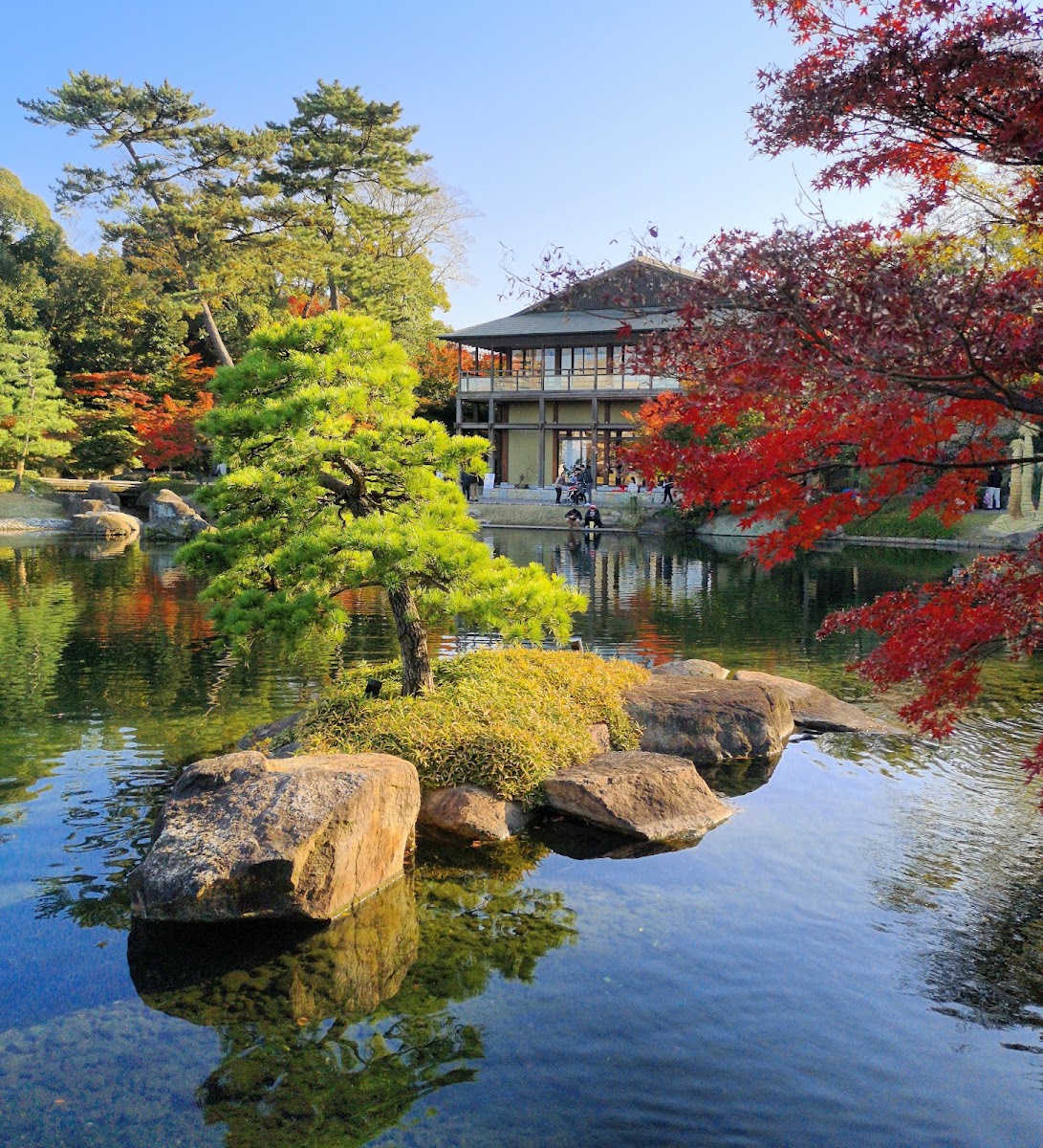 德川園庭園與池畔建築大景