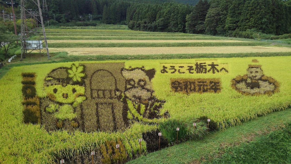 道之驛 湯之香鹽原(道の駅 湯の香しおばら) 實景照片 4