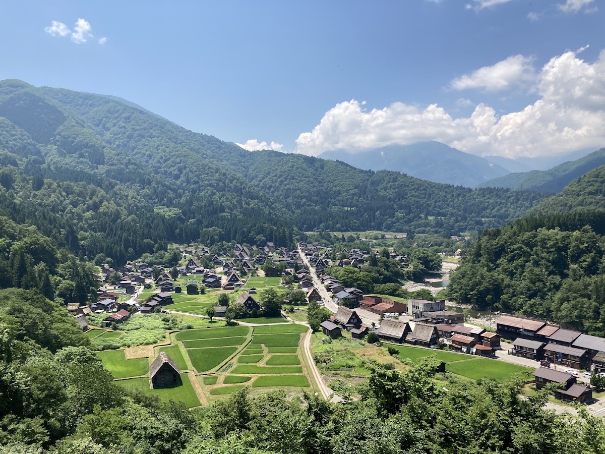 城山天守閣展望台（城山天守閣 展望台） 實景照片 1