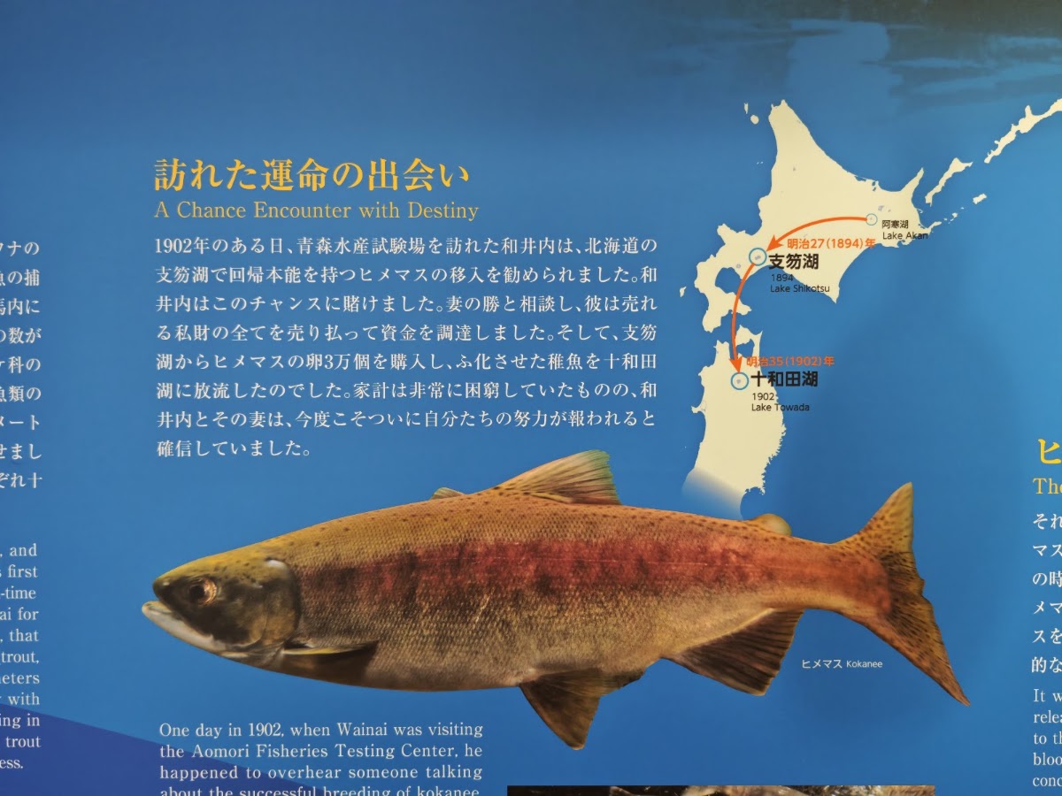道之驛 十和田湖（道の駅 十和田湖） 實景照片 5