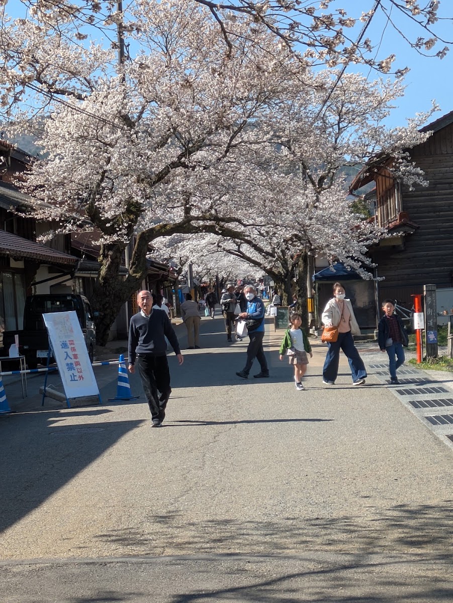 道之驛 凱旋櫻新庄宿(道の駅 がいせん桜 新庄宿) 實景照片 4