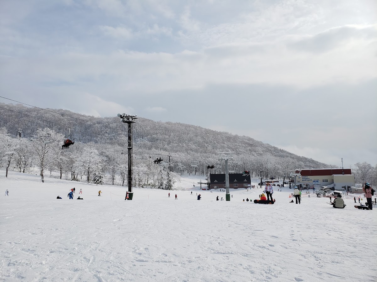 新雪谷安努普利國際滑雪場（ニセコアンヌプリ国際スキー場） 實景照片 6