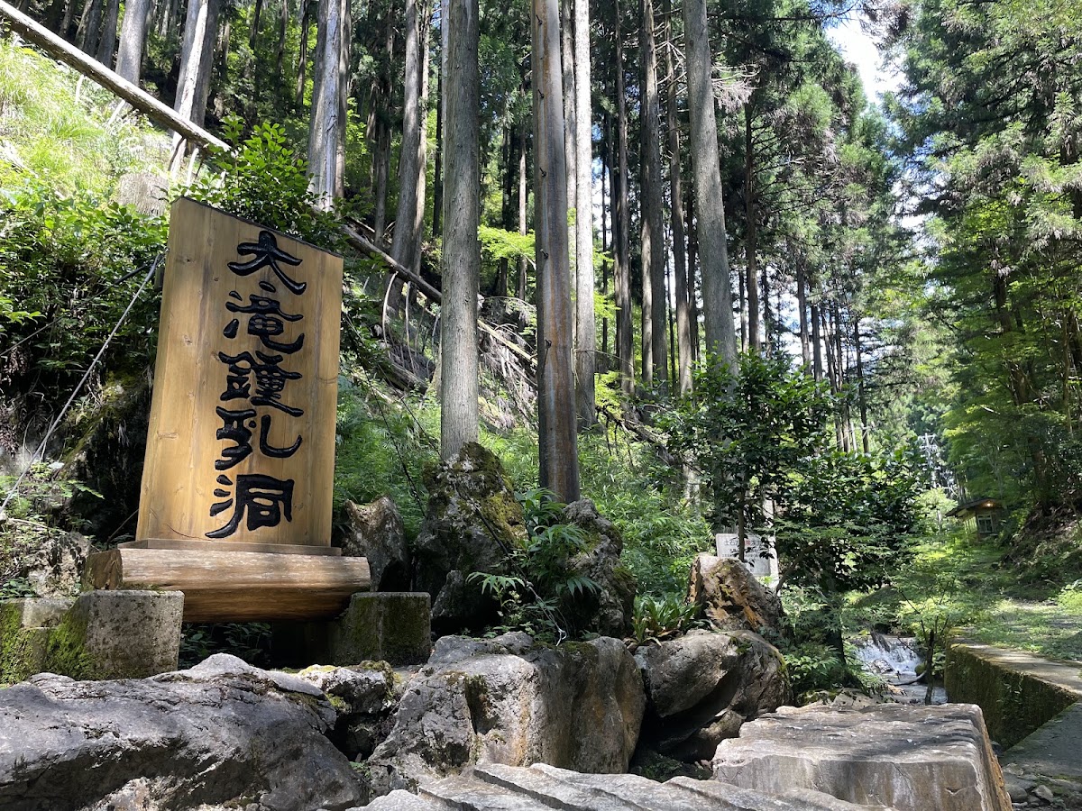 森林中色彩明亮的登山纜車