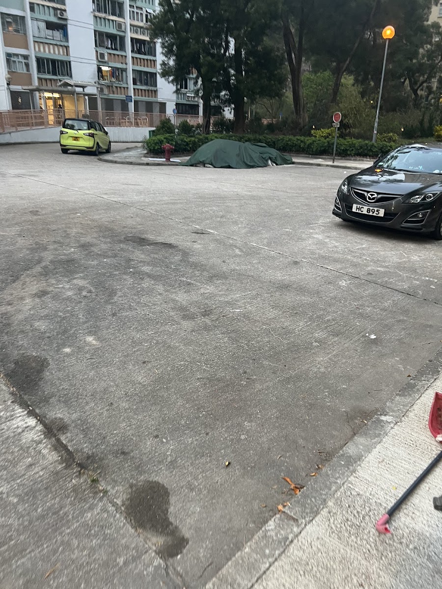 順緻苑停車場 實景照片 10