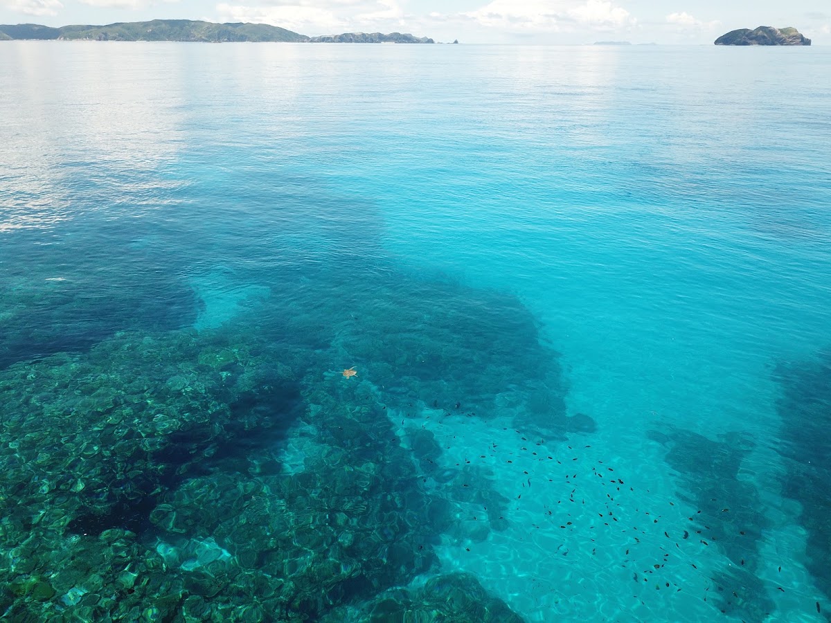 清澈海水與海底珊瑚礁風景