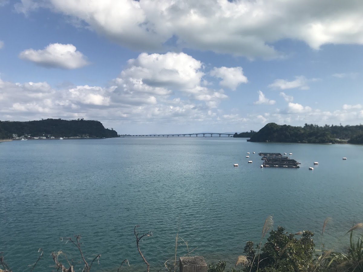 運天港 實景照片 8