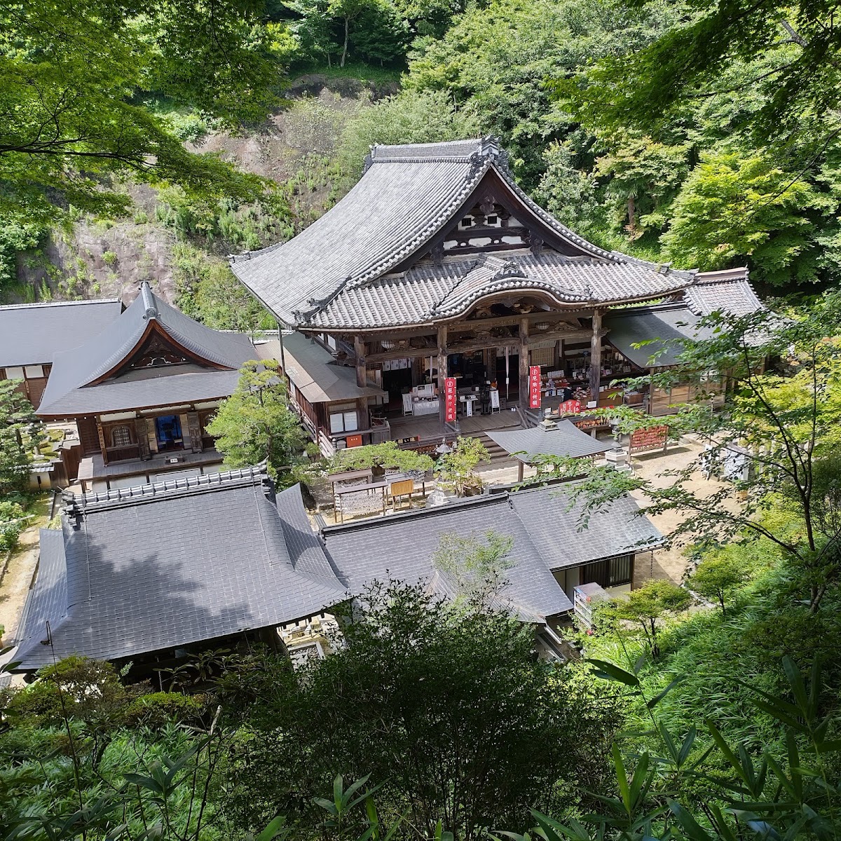 從高處俯瞰岡寺建築群全景