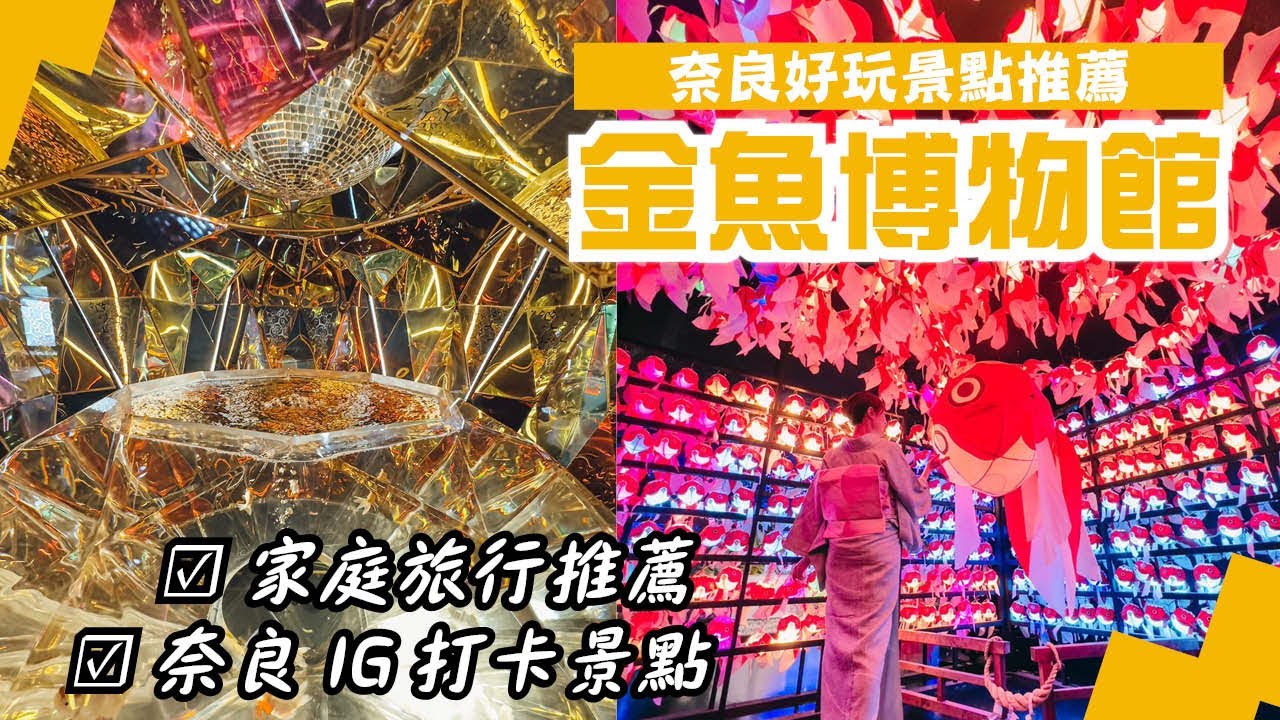 小學生以下免費！適合全家來玩的「金魚博物館」 絢爛華麗~ 同場加映- 23年4月28日全新開幕 生物博物館 爬蟲類的天堂｜奈良NARA｜【奈良旅遊景點攻略】