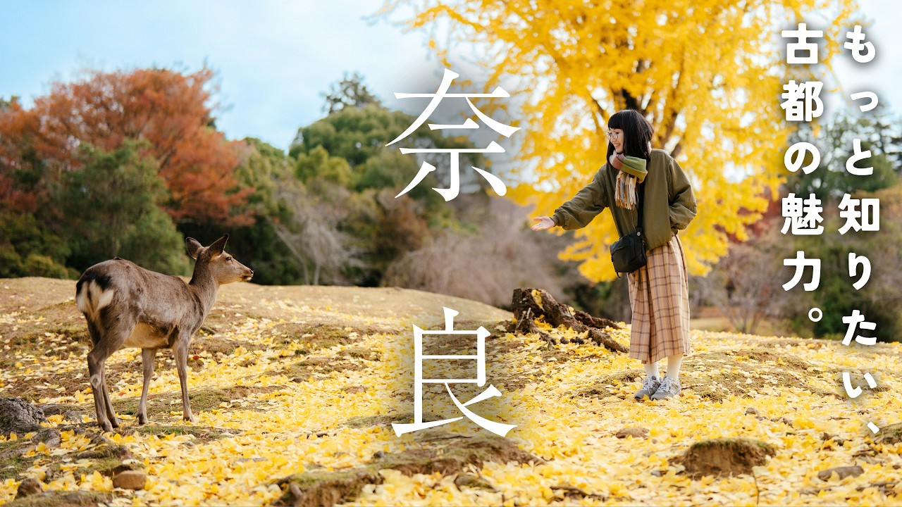 紅葉の奈良🍁1日で巡る奈良グルメと観光スポット|東大寺|奈良公園