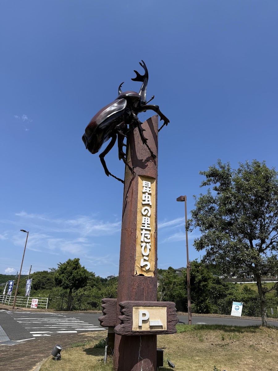 道之驛 昆蟲之里田平（道の駅 昆虫の里たびら） 實景照片 5
