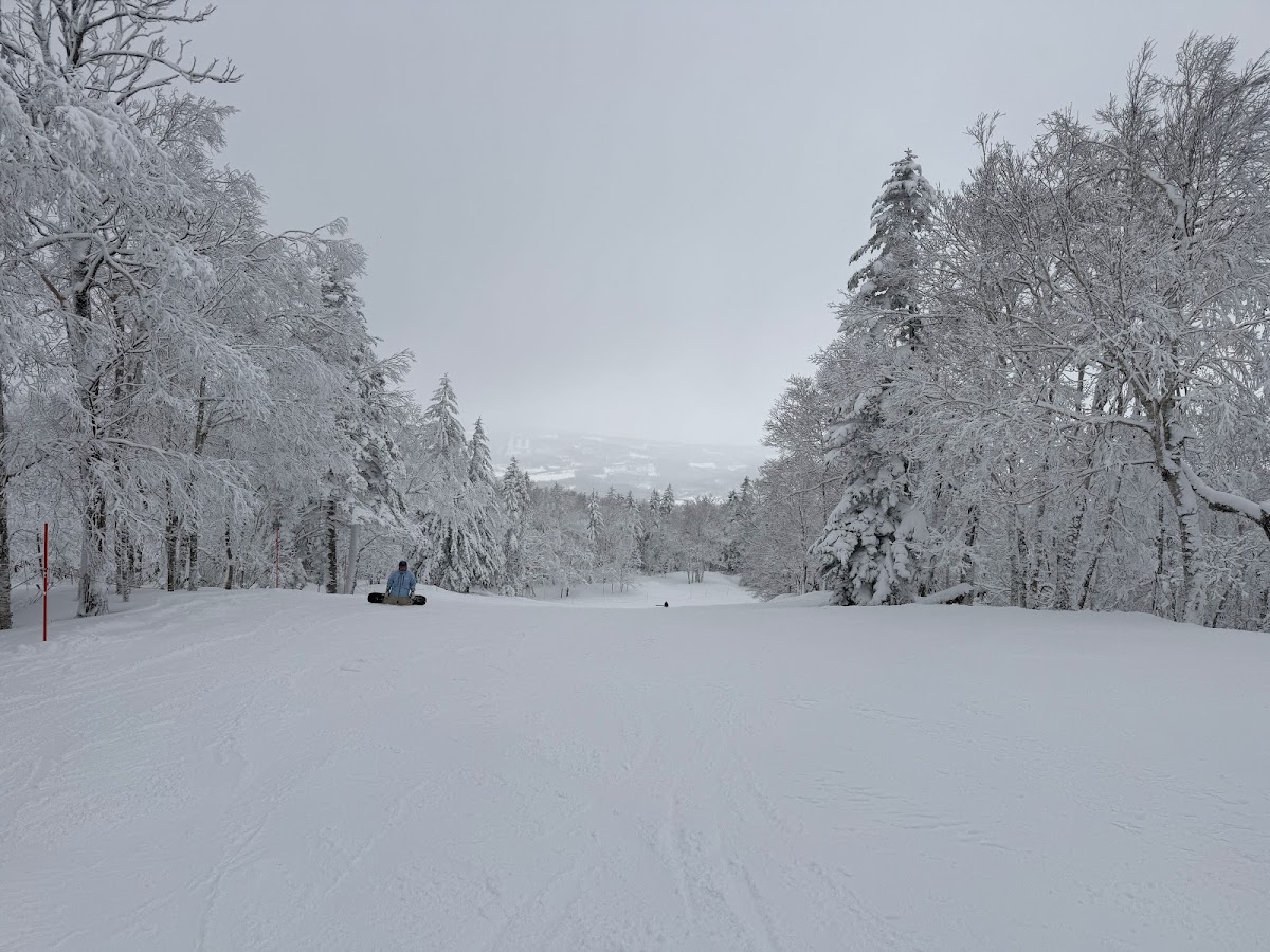 神居滑雪場(カムイスキーリンクス) 實景照片 9
