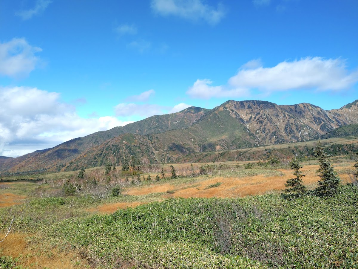 彌陀原(弥陀ヶ原) 實景照片 9