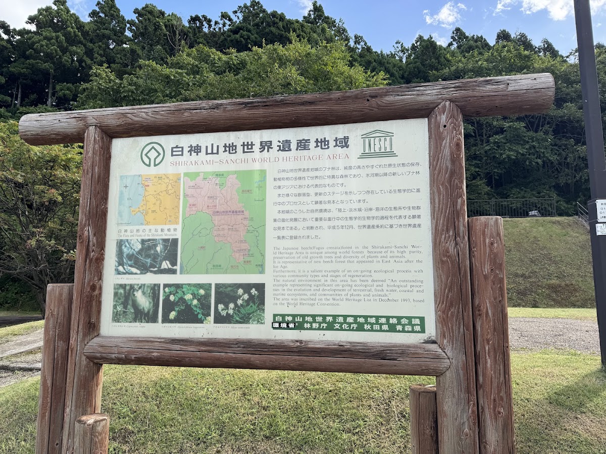 道之驛 八森(道の駅 はちもり) 實景照片 6