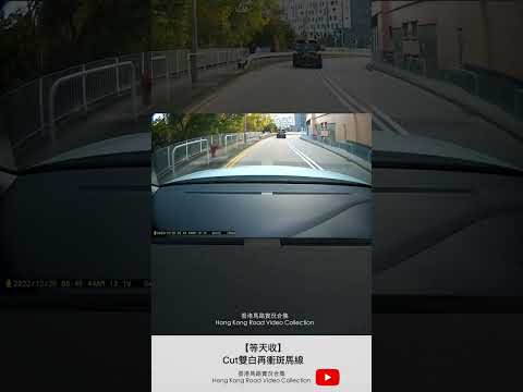 【等天收】Cut雙白再衝斑馬線 | 車CAM直擊 | 香港馬路實況合集 Hong Kong Car Video Collection