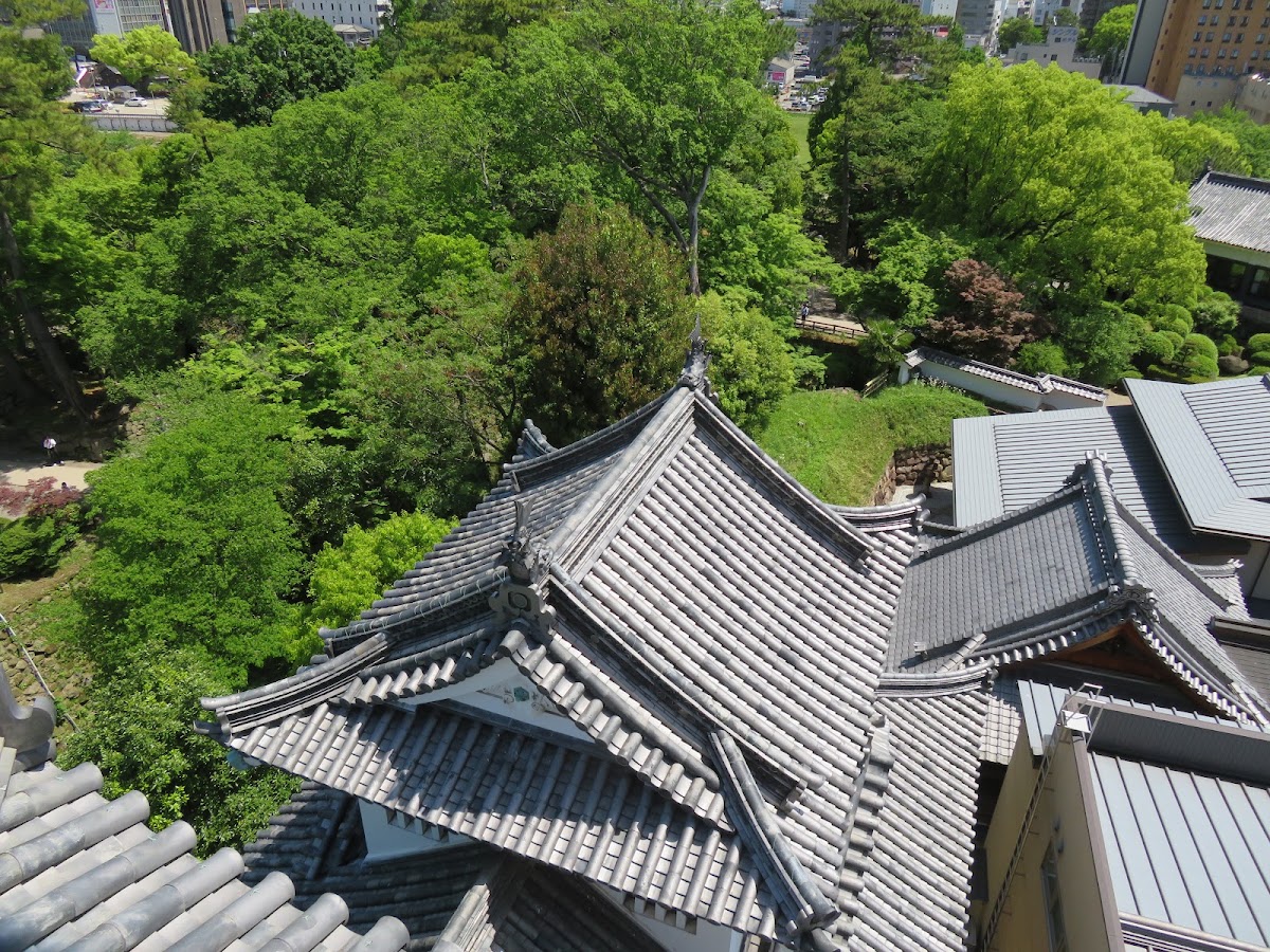岡崎城 實景照片 3