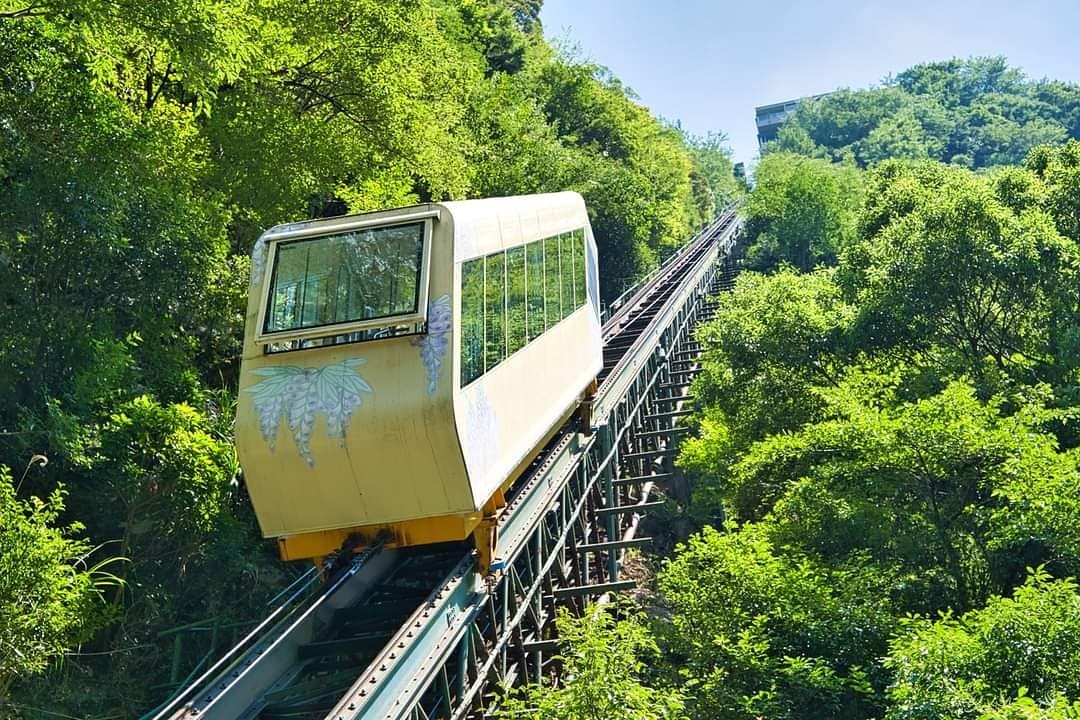 穿梭在綠林中的斜行景觀電纜車