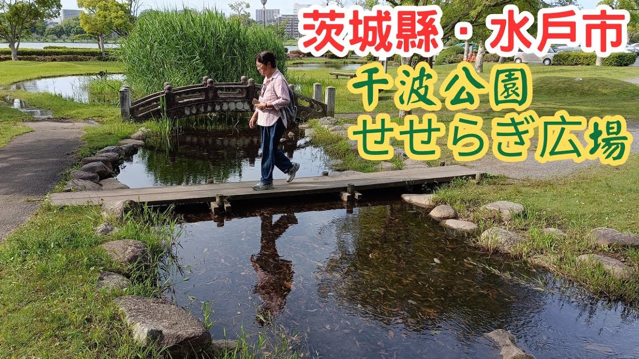 【日本二府九縣春遊 EP.204】茨城縣.水戶市 千波公園.せせらぎ広場、千波湖 | 環境優美