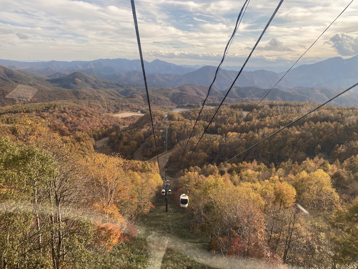 Grandeco Snow Resort（グランデコスノーリゾート） 實景照片 5