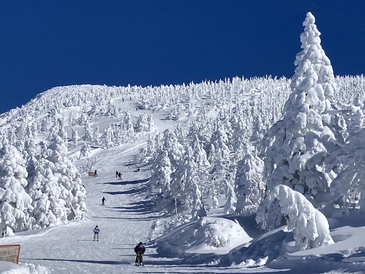 滑雪道與樹冰群