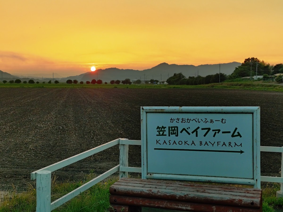 道之驛 笠岡灣農場(道の駅 笠岡ベイファーム) 實景照片 10