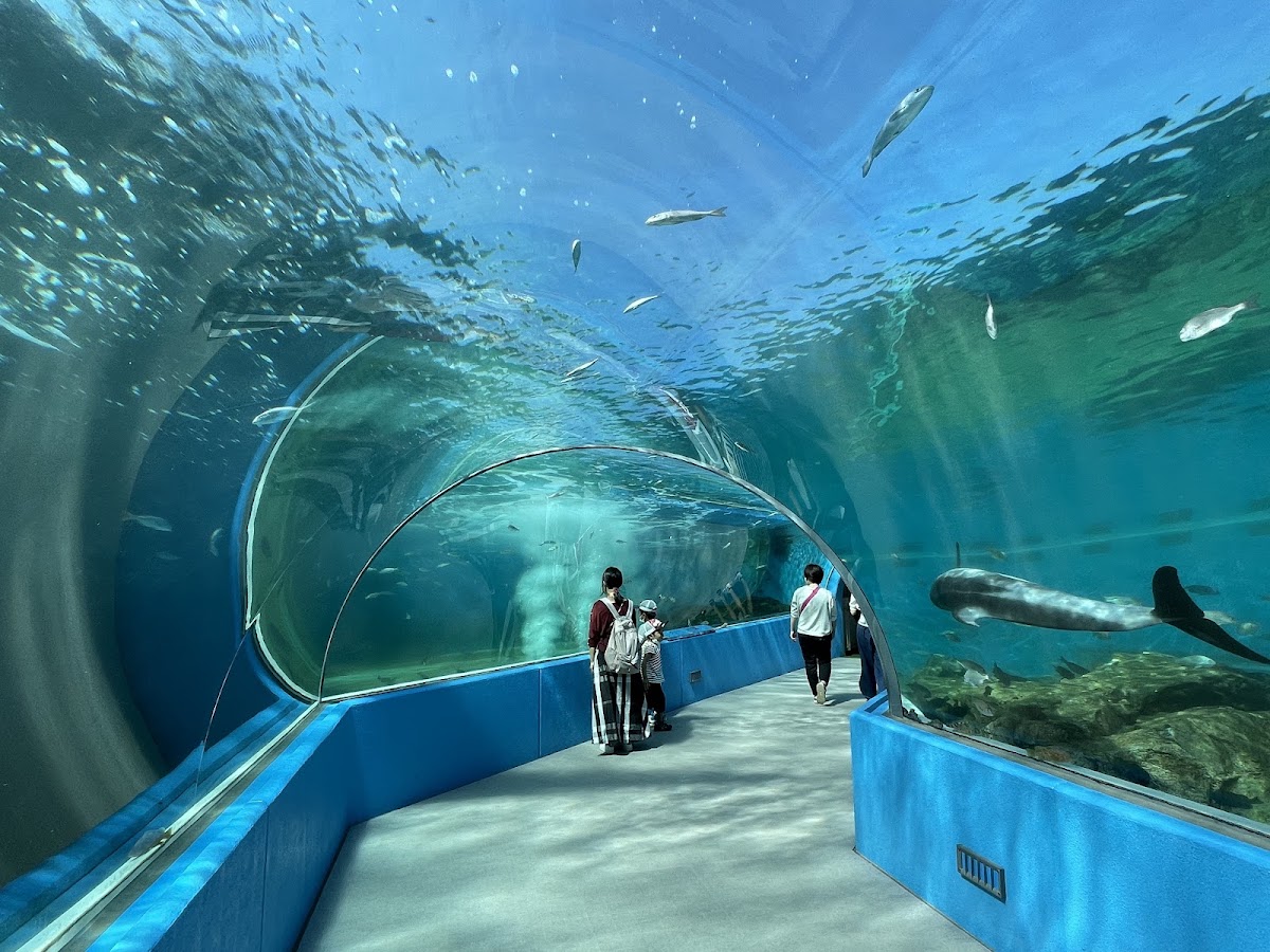 能登島水族館(のとじま水族館) 實景照片 1