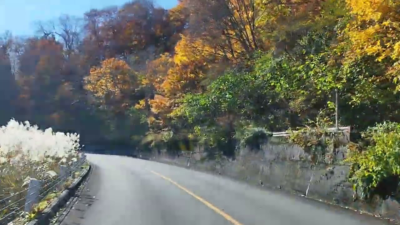 20221106 「白山白川鄉白色公路」是白山國立公園內的一條兜風路線,連接石川縣境內的古都金澤、白山、加賀溫泉鄉,以及岐阜縣境內的世界遺產白川鄉和飛驒高山